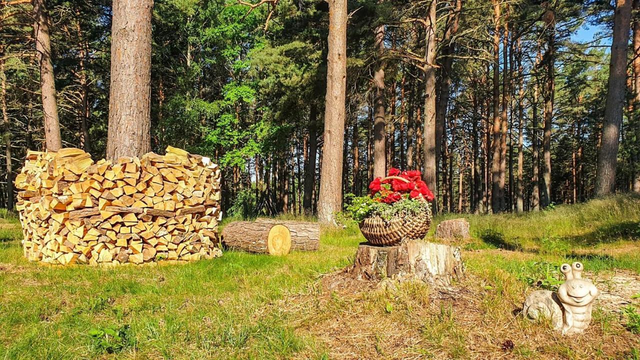 Guest House Saulgriezes Nīca Esterno foto